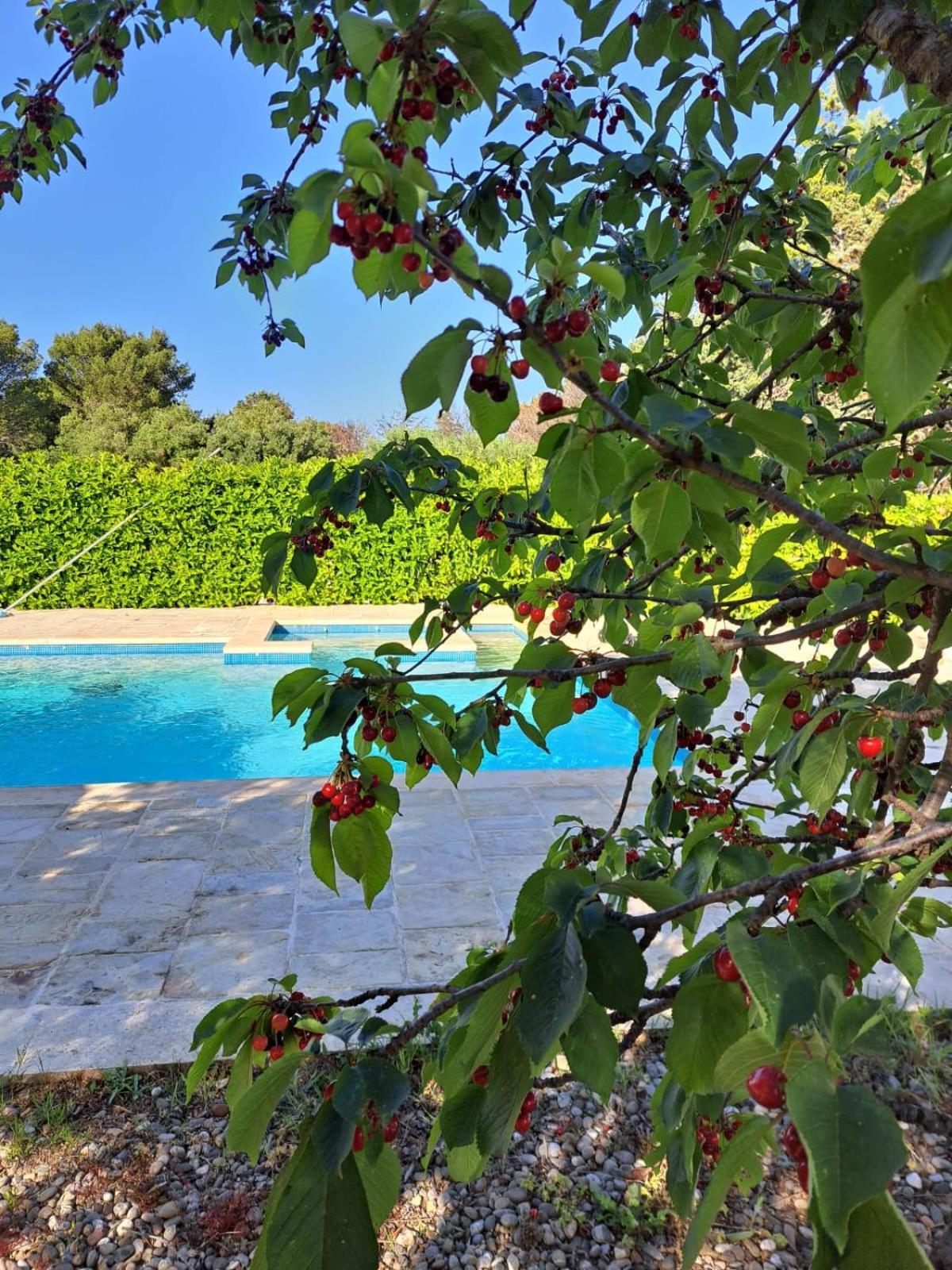 Trulli Gianfelice Villa Martina Franca Exteriör bild